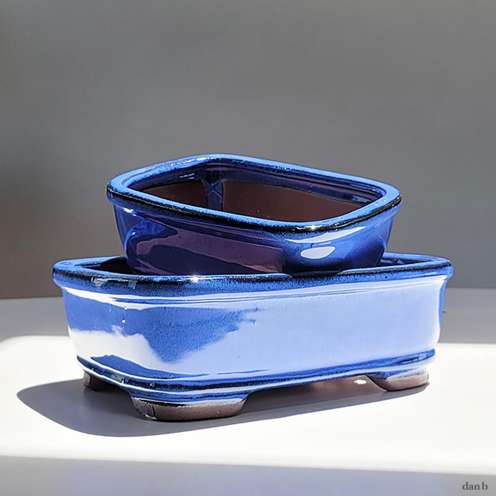 seb pot 파란색 직사각 낮은 분재 화분