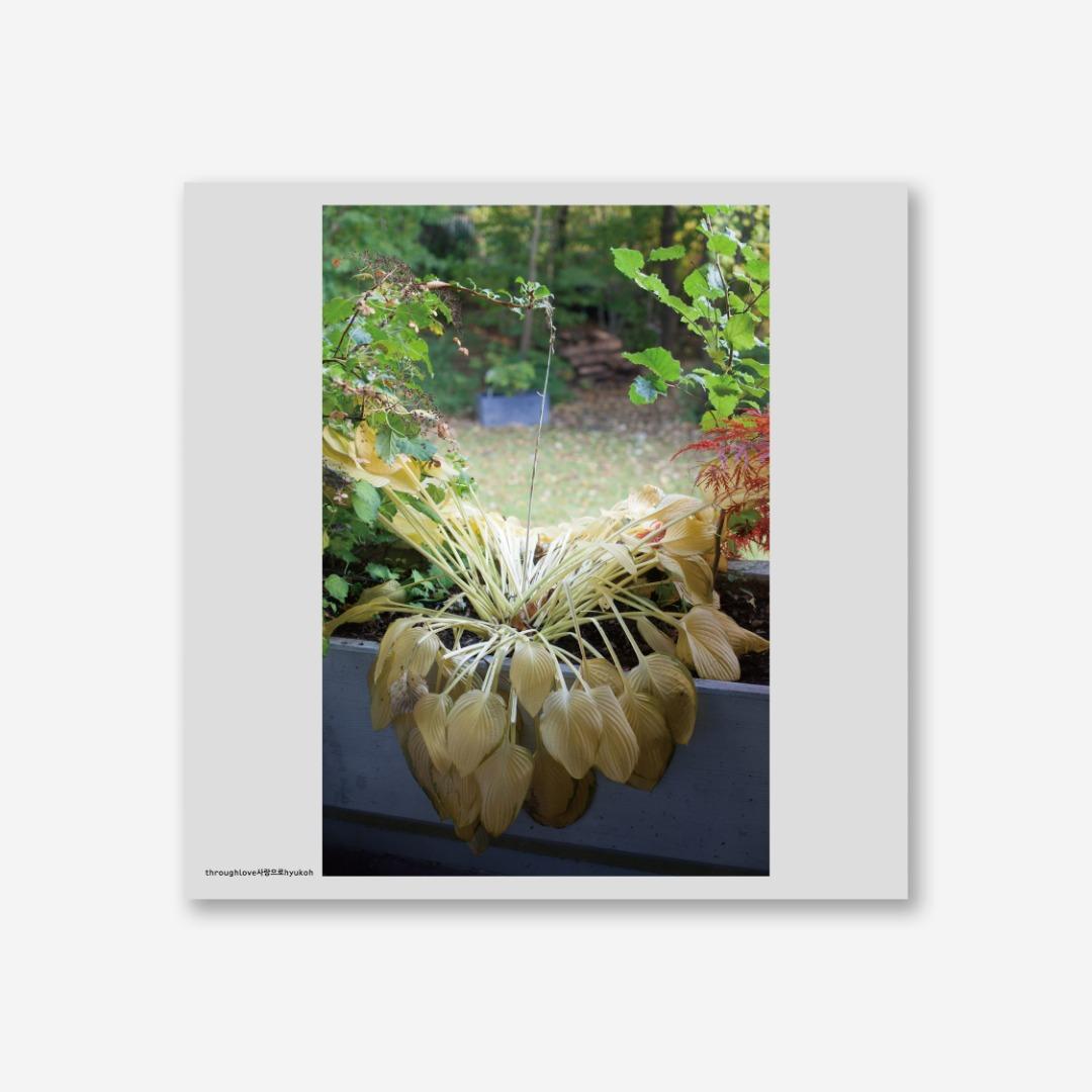 혁오 Hyukoh / 사랑으로 (Vinyl) *예약상품 (1월 13일 이후 배송)