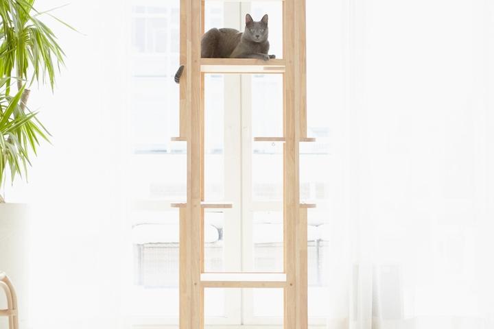 캣타워 하임 하드우드 고무나무 colors