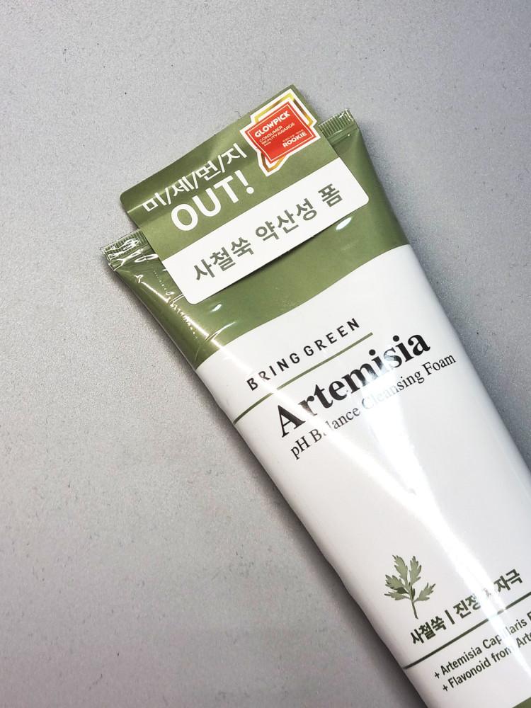 브링그린 사철쑥 약산성 클렌징 폼 250ml