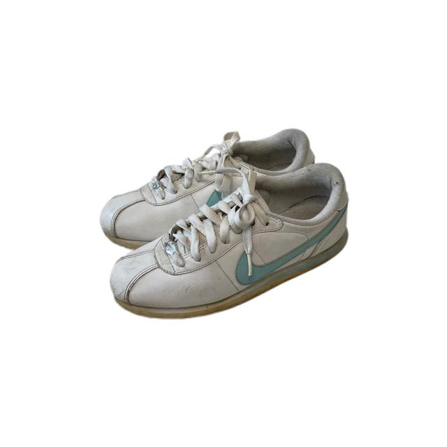 Nike(235) | 후루츠패밀리