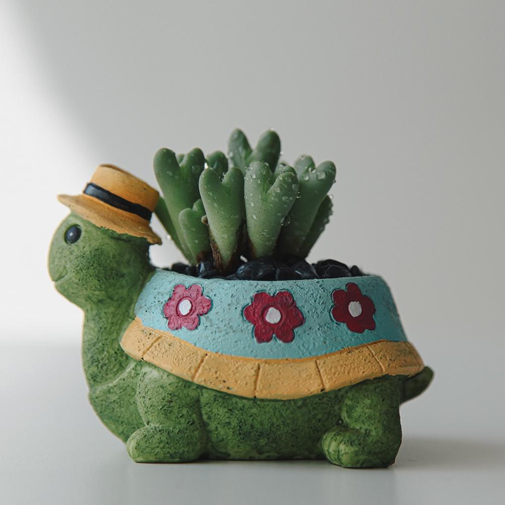 거북이신사 축전 화분세트