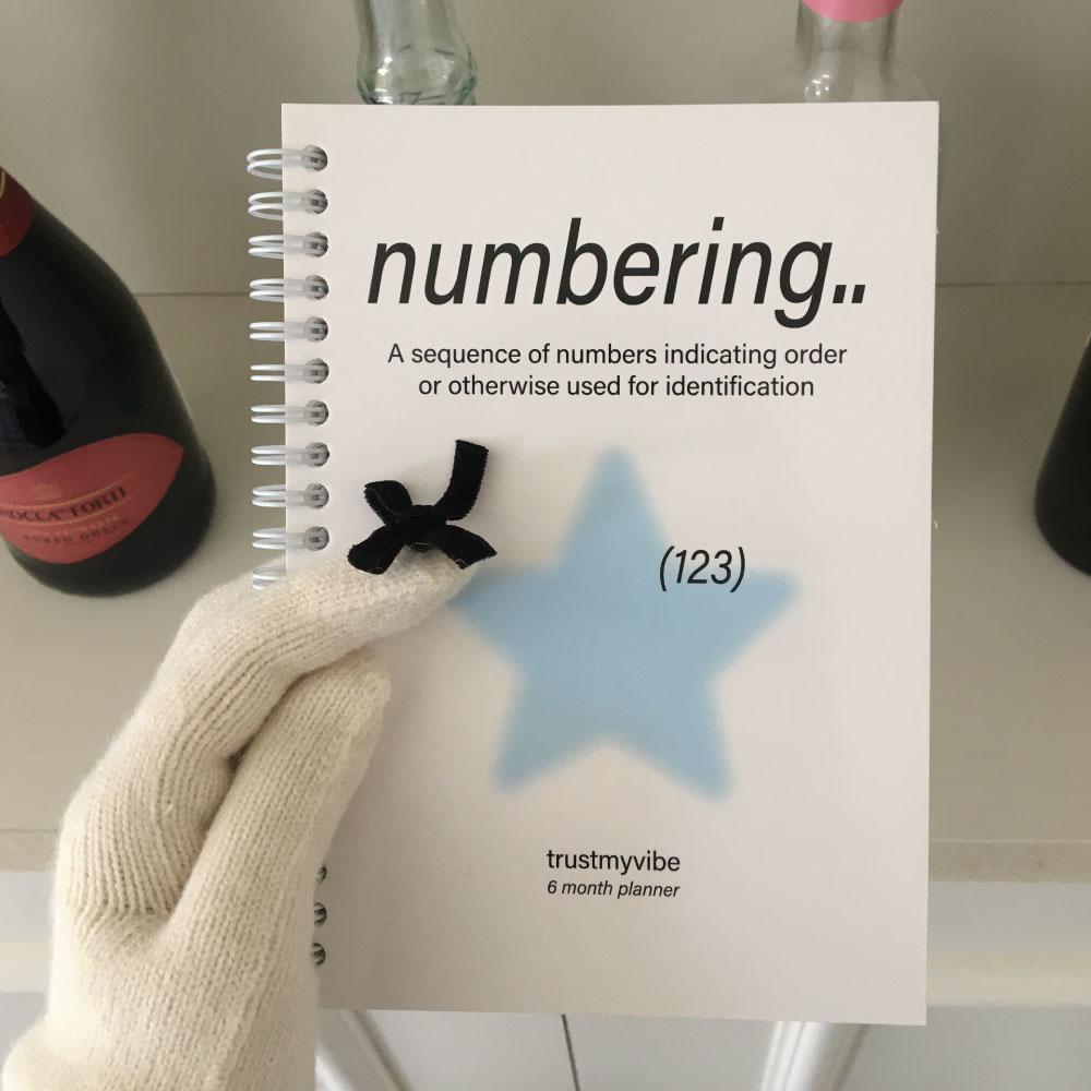 numbering planner (6 month)