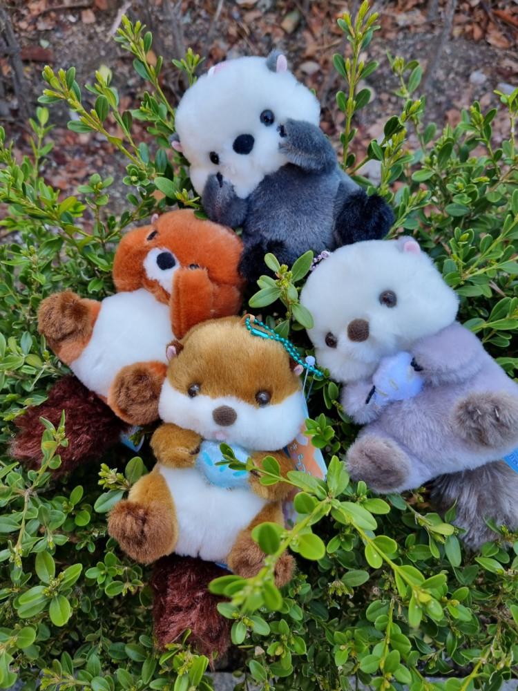 AMUSE 귀여운 해달 인형 키링