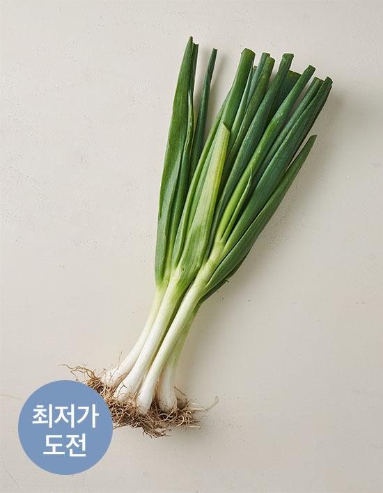[KF365] 흙대파 1단 850g