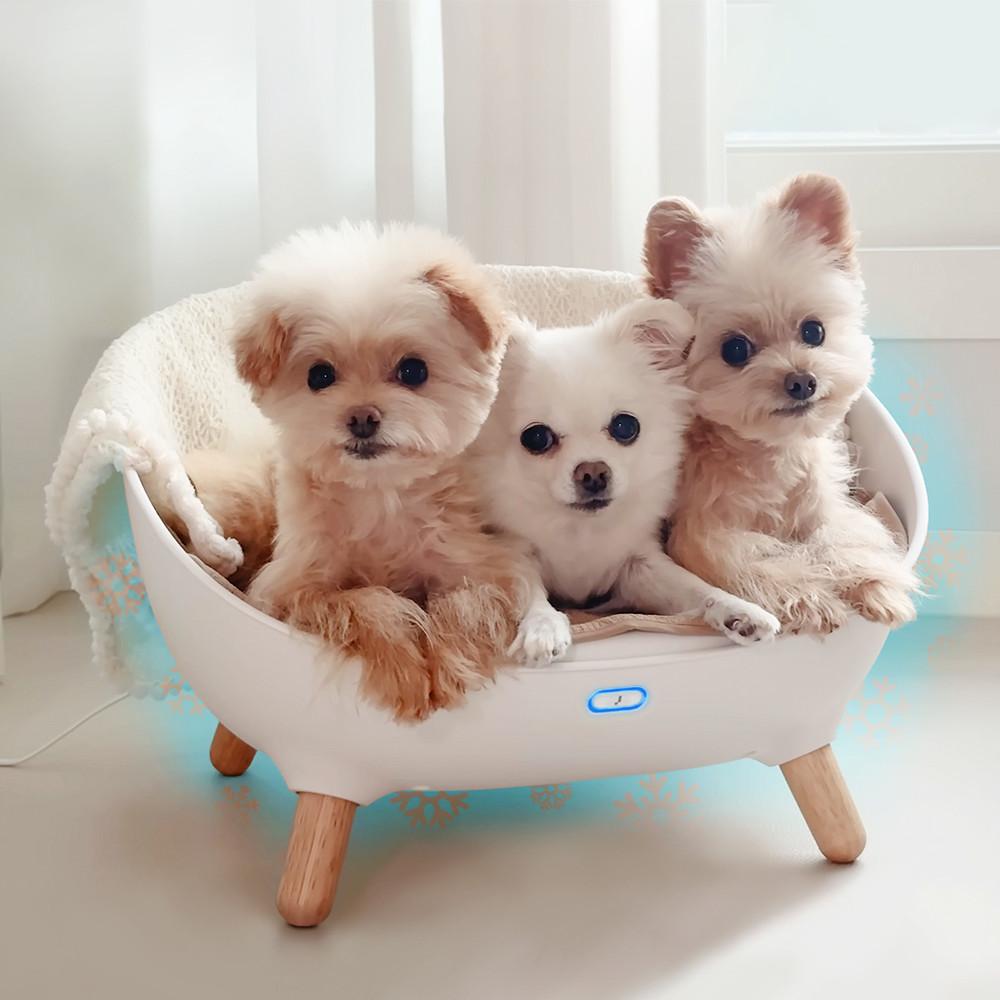 펫드리머 강아지쿨매트 고양이쿨매트 강아지침대 고양이침대 강아지소파 고양이소파 강아지온열매트 고양이온열매트 강아지겨울 고양이겨울