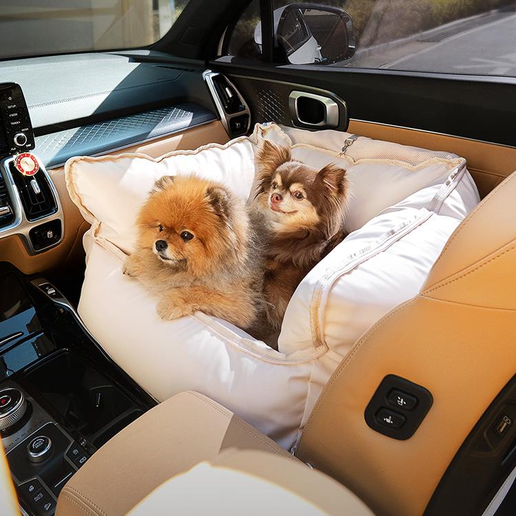 "육 면이 모두 막힌 켄넬형 카시트\" 카방이