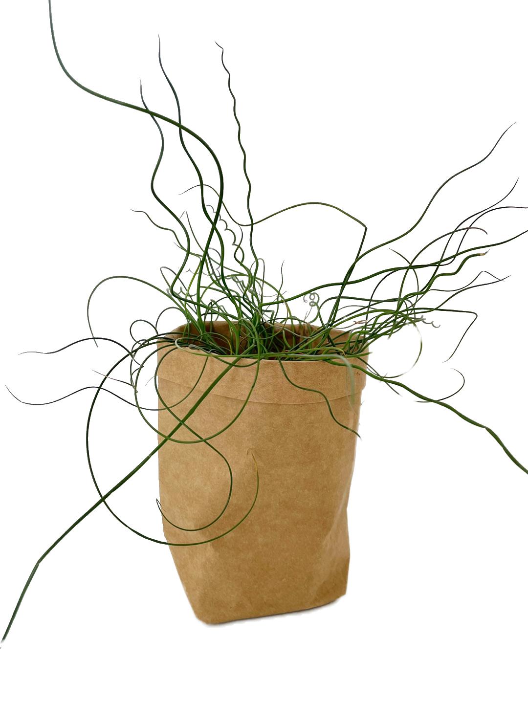 Bread Bag Basket - 3 Color, 2 Size