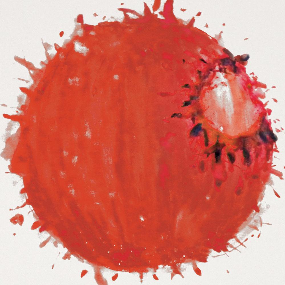 쏜애플 1집 [난 자꾸 말을 더듬고 잠드는 법도 잊었네] | THORNAPPLE 1st Album [I Often Stammer and Forget the Way to Sleep]