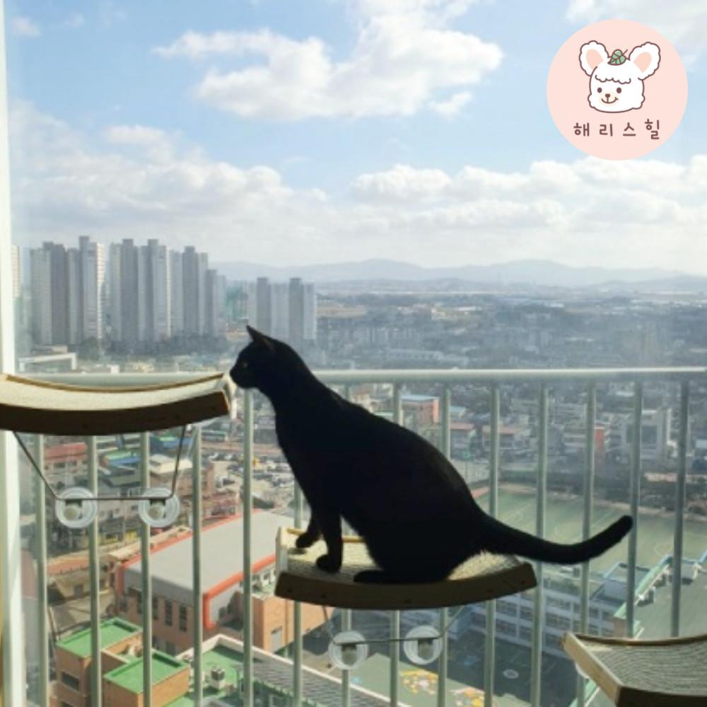 고양이 창문 윈도우 해먹 원목 스크래쳐 창문형 침대 해리스힐