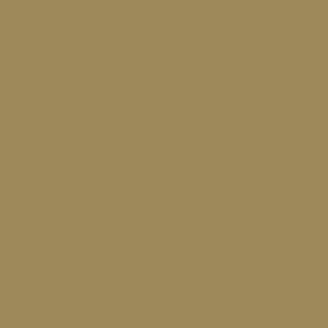 [6/5 Pre-Order] Tourer · Beige TA5SF010_91
