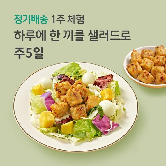 하루에 한 끼를 샐러드로 5일