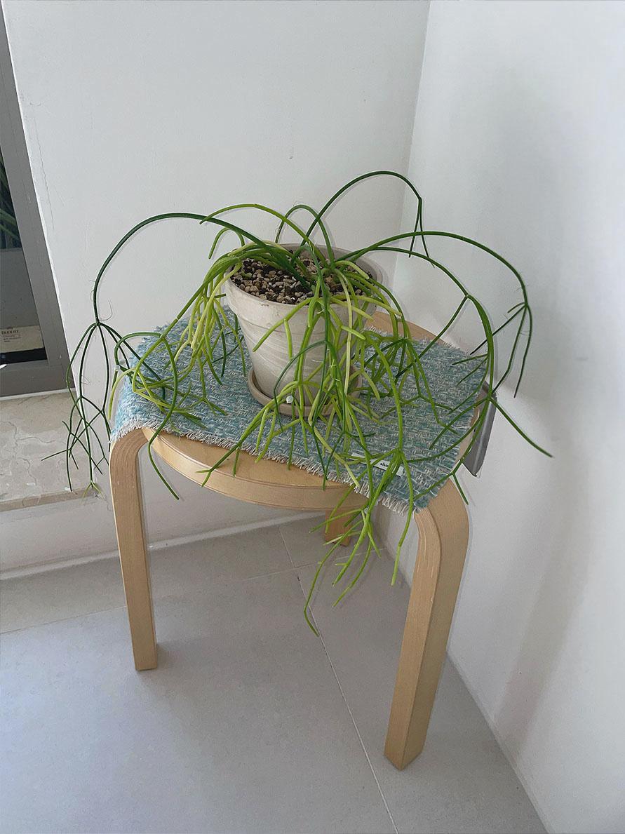 Weaving Objet mat / Teal