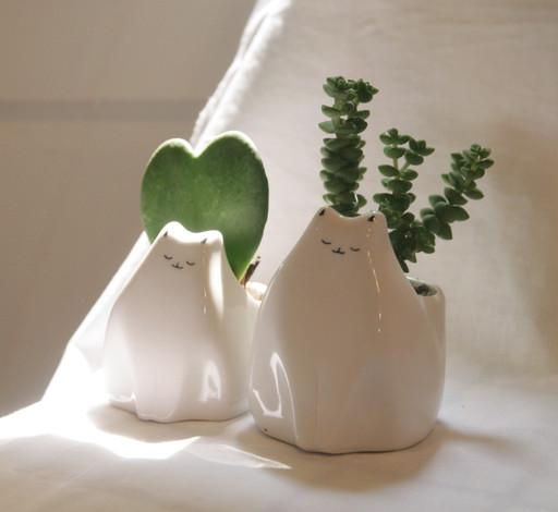 둘이서 고양이 다육이 화분 세트