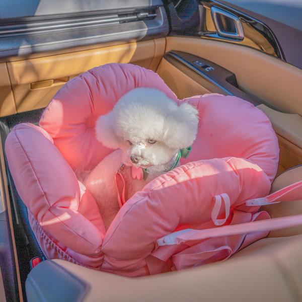 [Earlybird] 플라워 카시트 이동가방 (강아지, 고양이 겸용) *3월 7일경 순차출고