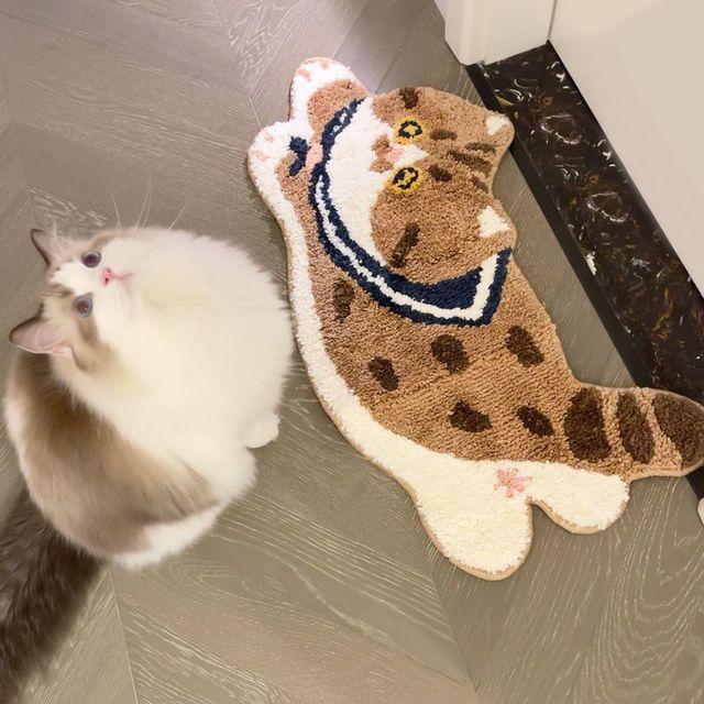 bookaz 핸드메이드 터프팅 털냥이 발매트 고양이 러그 카페트 방 침실