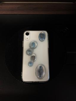 FLUSS CASE