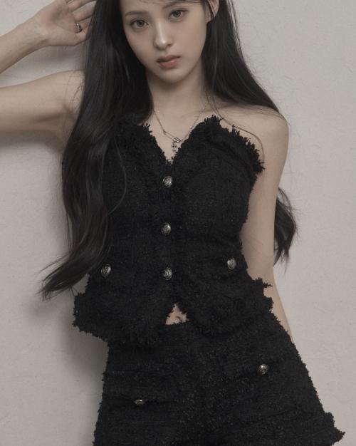Antique Tweed Top (black)