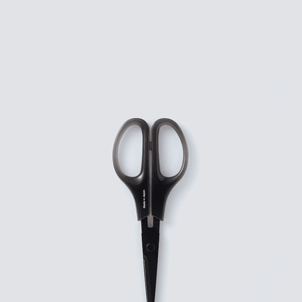 001 Boring Scissors