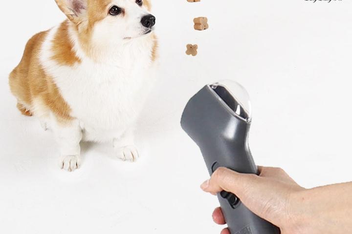 애견 장난감 간식총