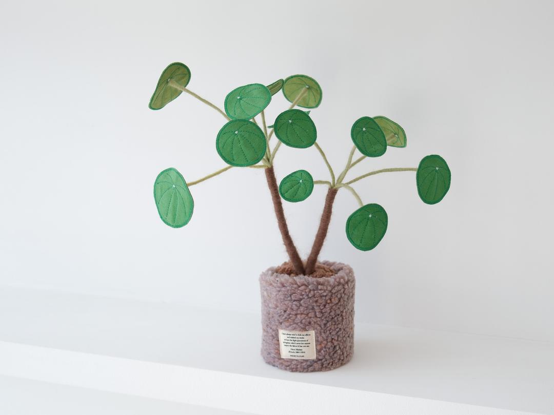 패브릭 탁상 식물 - 목대 있는, 필레아페페 그린