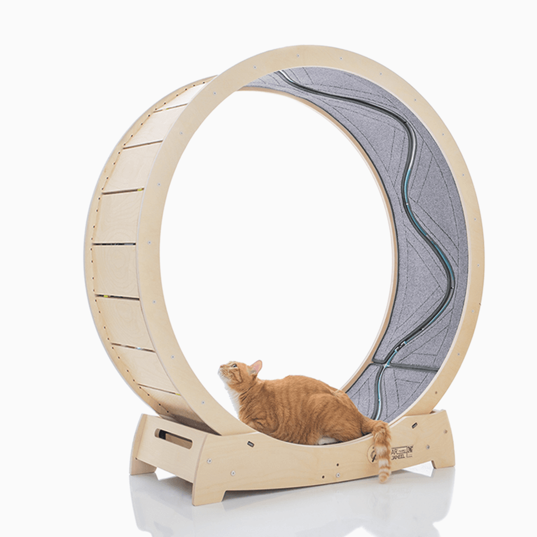 집사의 반격 스타캣휠 내부카펫포함 (1060) 그레이/브라운/아이보리