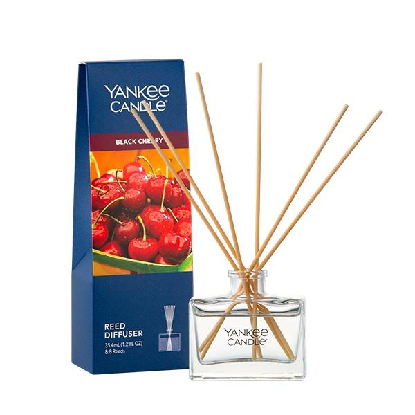 블랙체리 (Black Cherry)