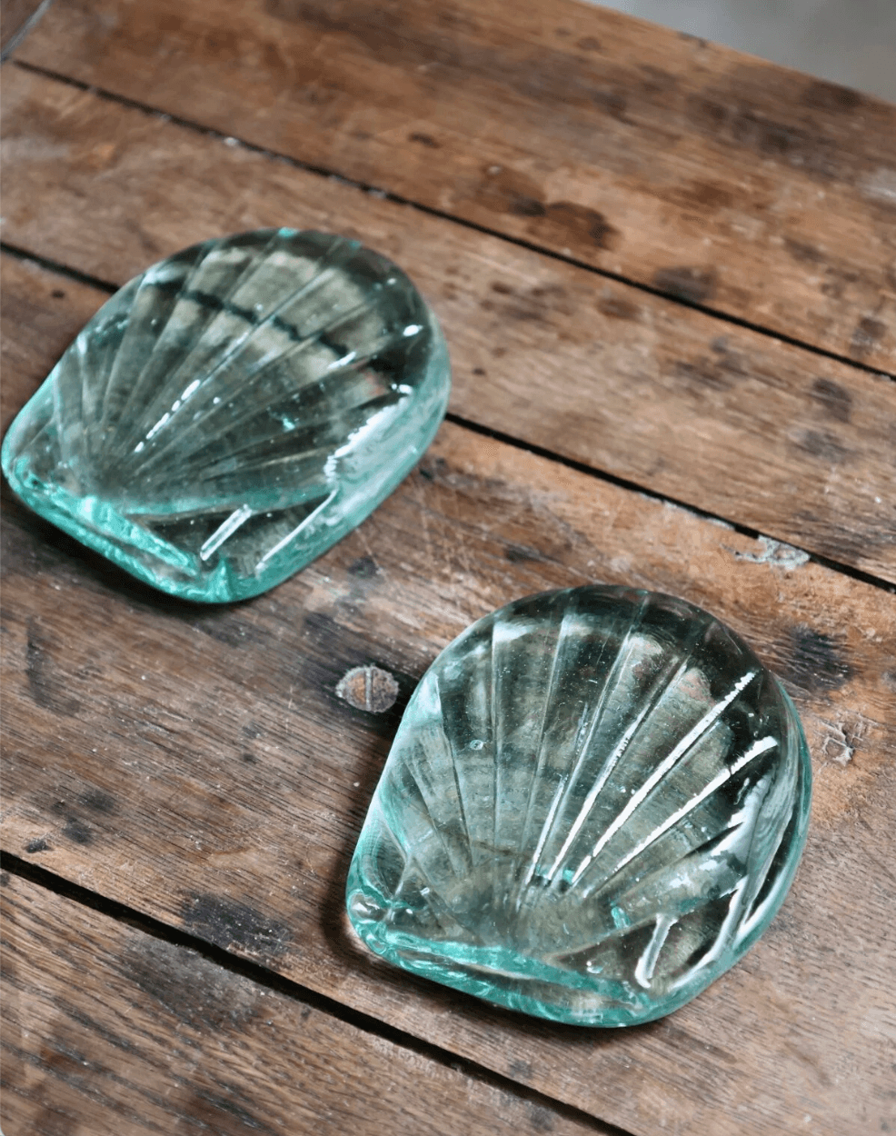 La Soufflerie - Coquille Saint Jacques Creuse (Transparent)