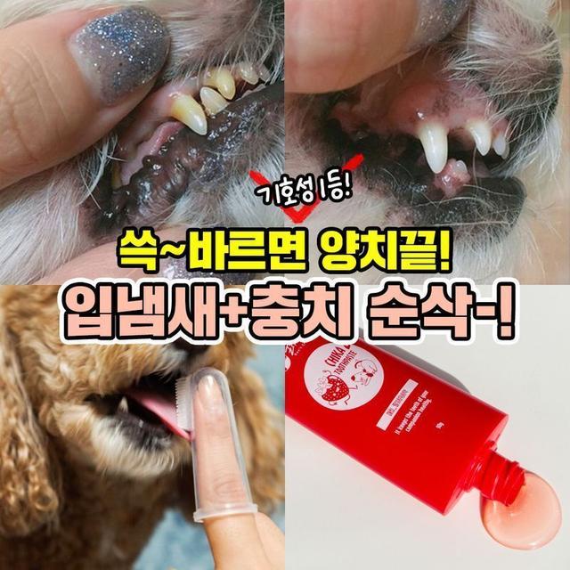 [기호성 1등] 치석+입냄새+충치예방/맛있는 치카치약딸기딸기딸기 버전