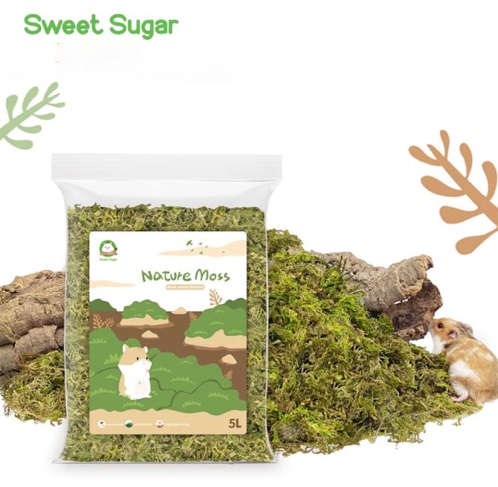 스윗슈가 천연 이끼