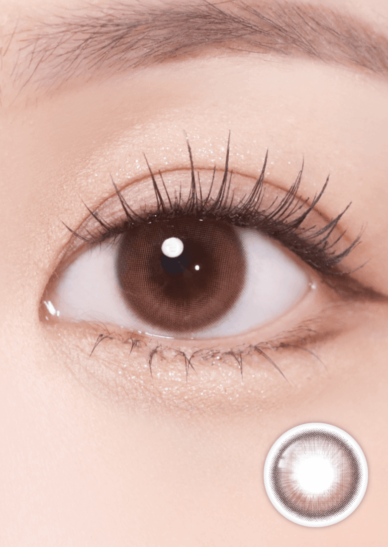 커들리 로지 초코(스타티스)(한달용)