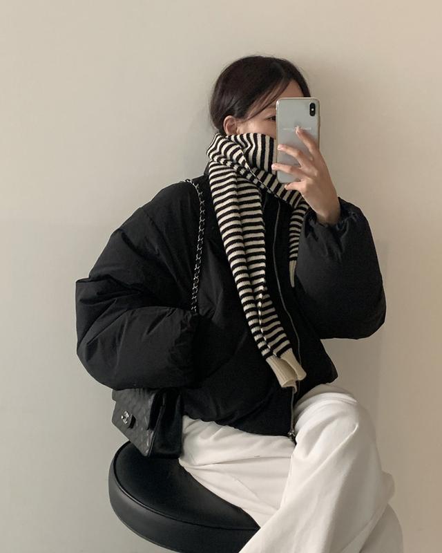 스트라이프 muffler