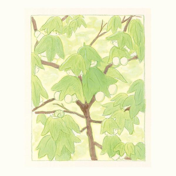 하미네 | 나뭇잎 요정들