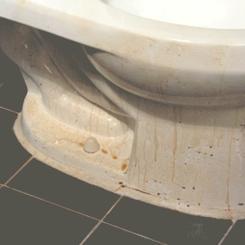 [이달의특가] 무로 아쿠아베쓰룸클리너