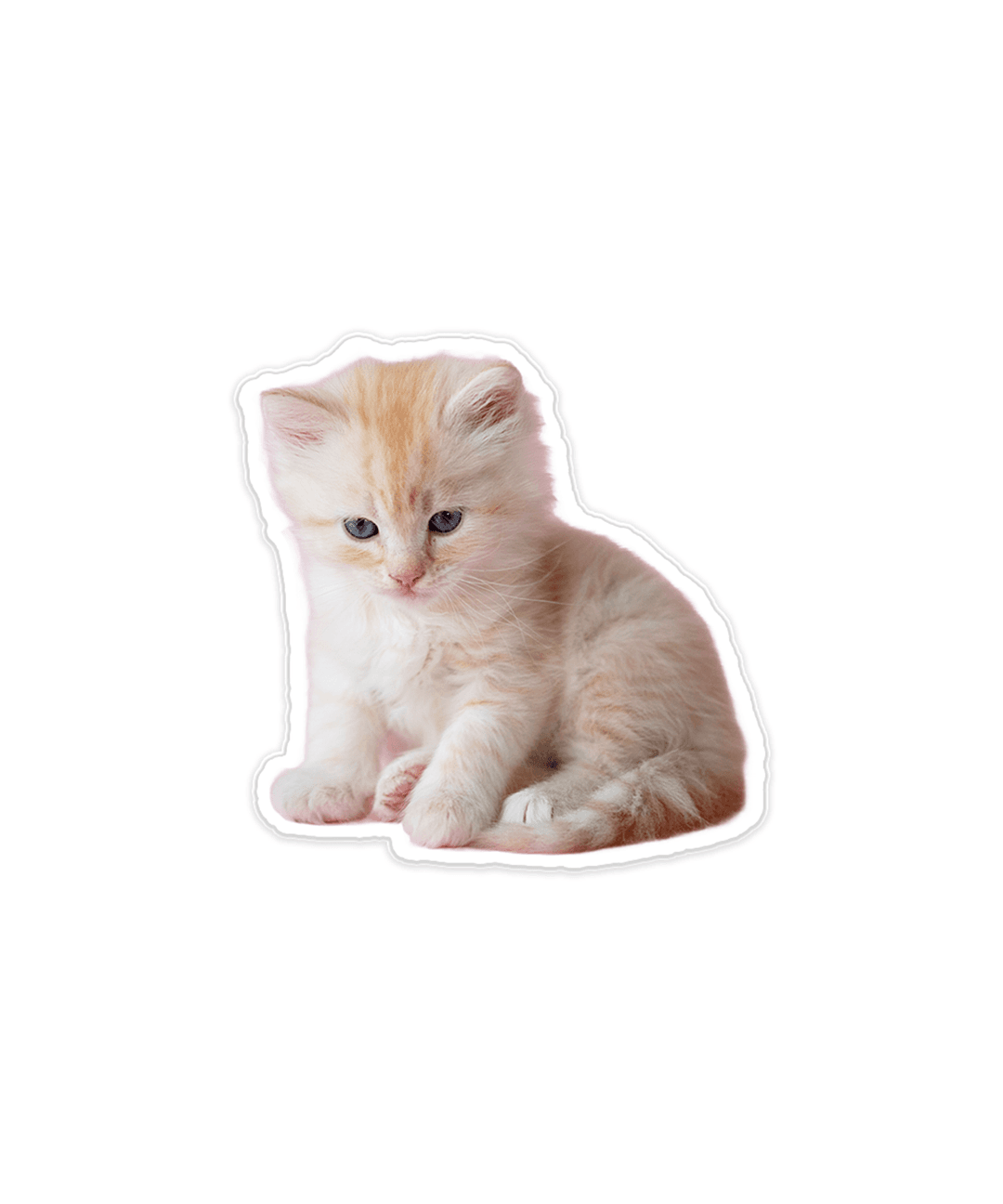 [Acrylic tok] Cat party 아크릴톡