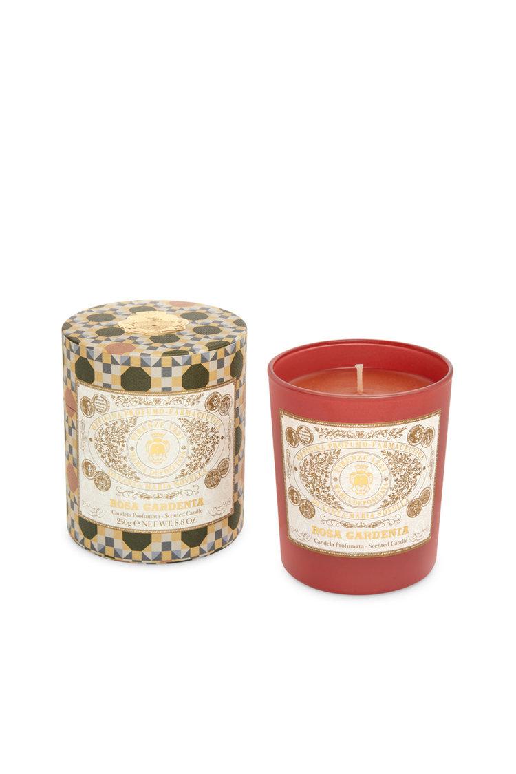로사 가데니아 칸델라 프로퓨마타 250g