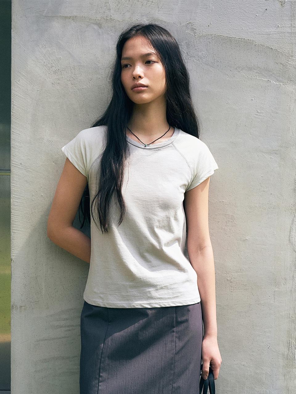 Colorblock Raglan T-shirt (Gray)