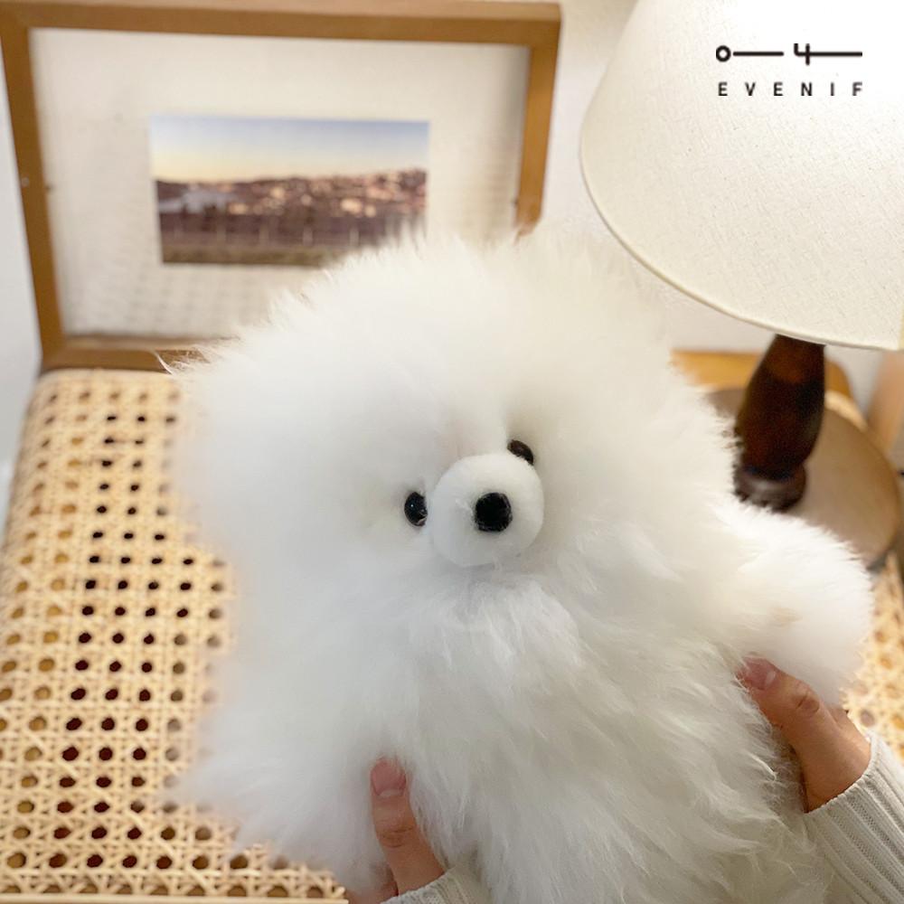 페루 알파카 곰인형 (테디베어 L size)