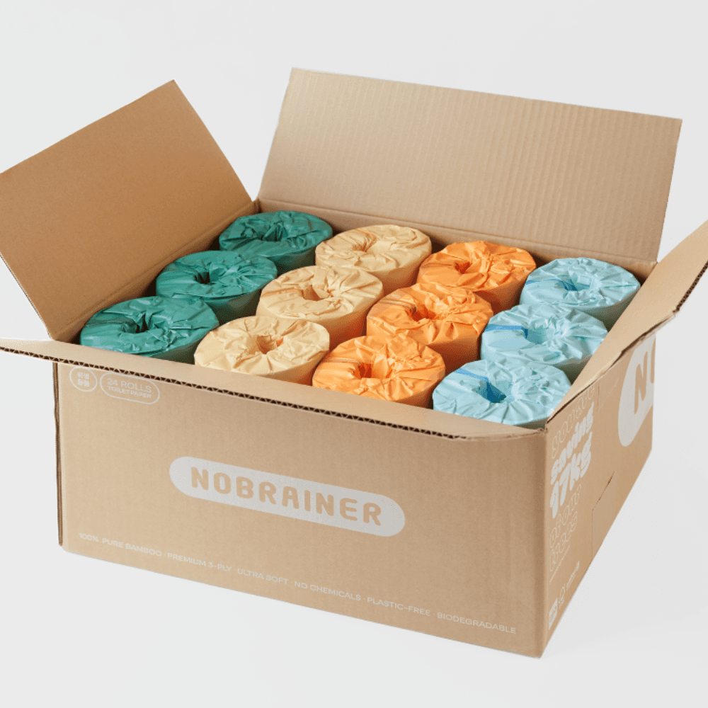 [VALUE PACK] 노브레이너 순수한 대나무 휴지 비욘드 페이퍼 300 (24롤)