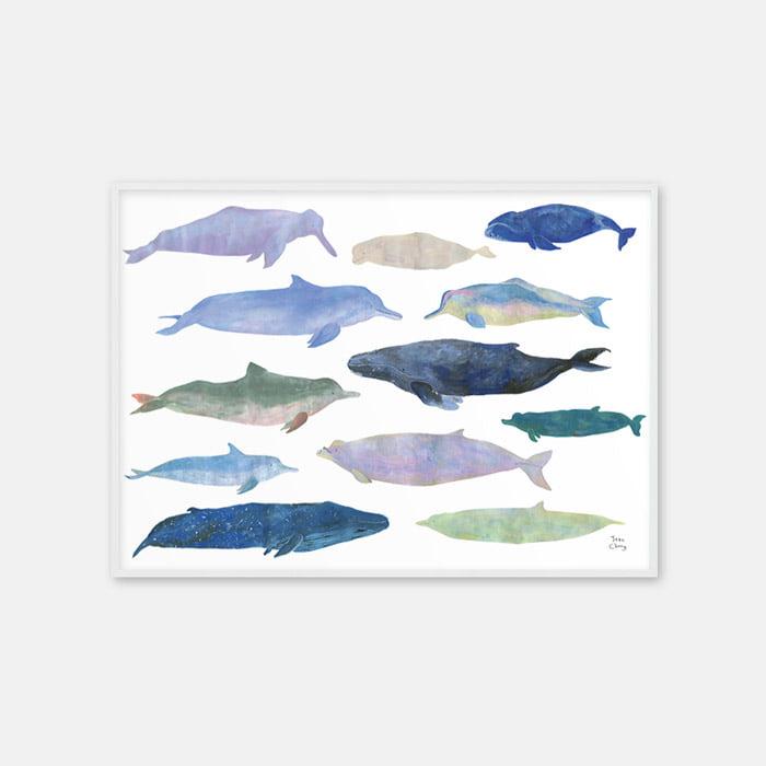 Dolphins and Whales 포스터