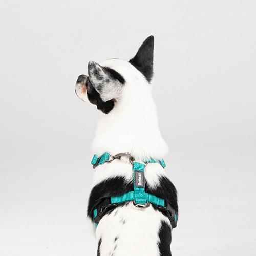 보듬 어드벤처 가슴줄 (후크형)