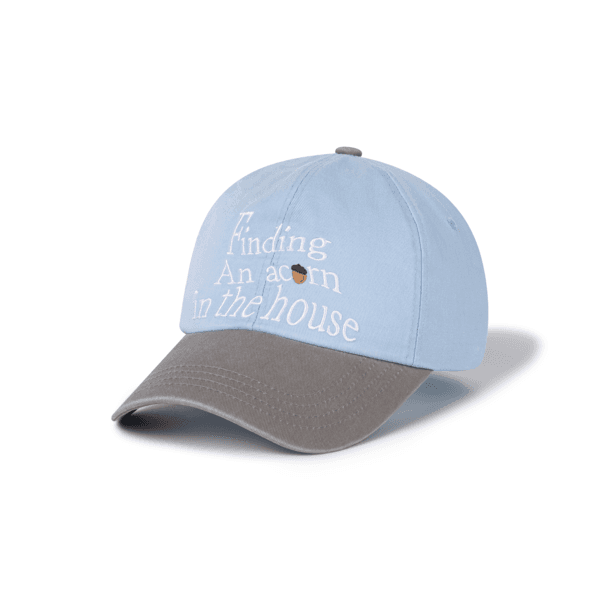 Finding an acorn cap [Gray&Skyblue]