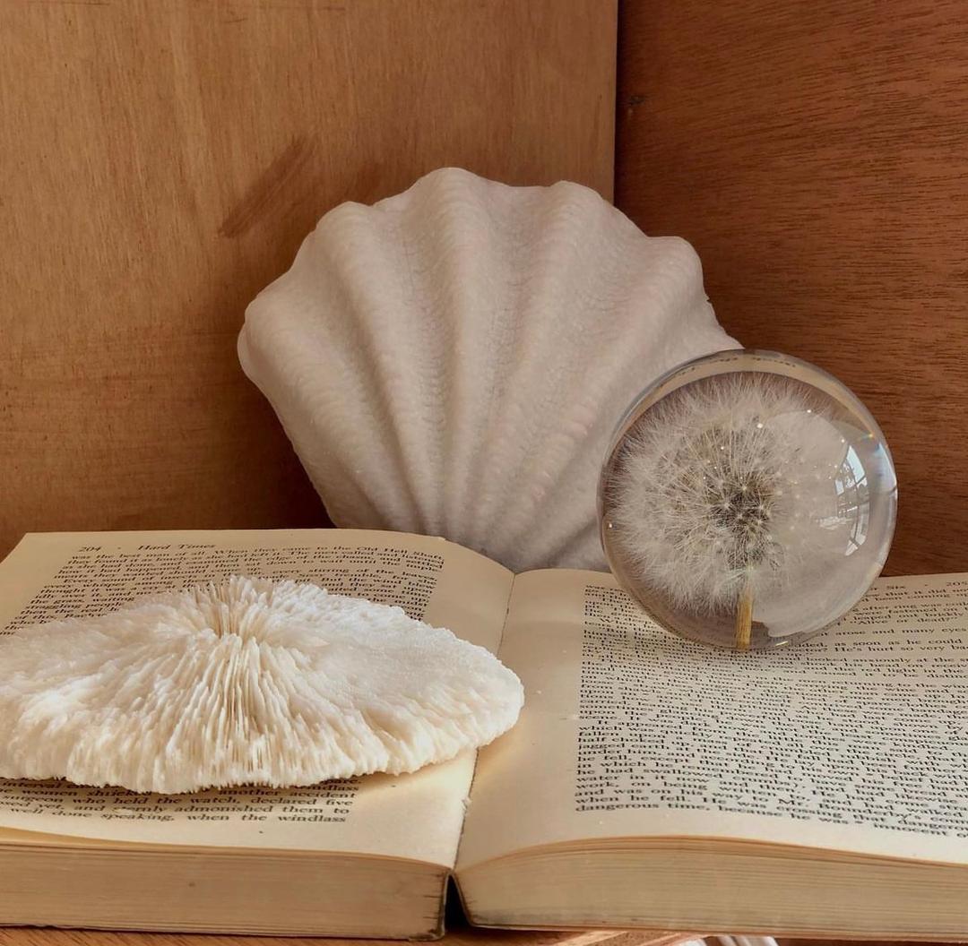 Dandelion Paperweight