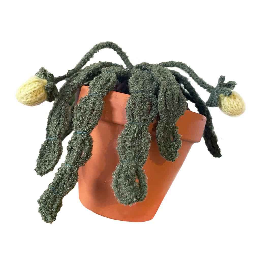 Green strawberry + Pot ( S size )