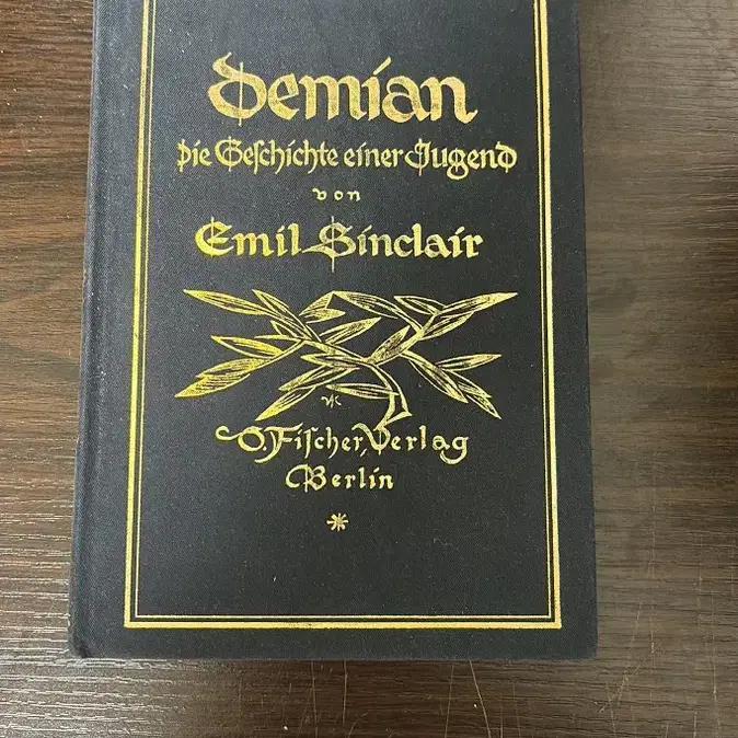 데미안(리커버 한정판)