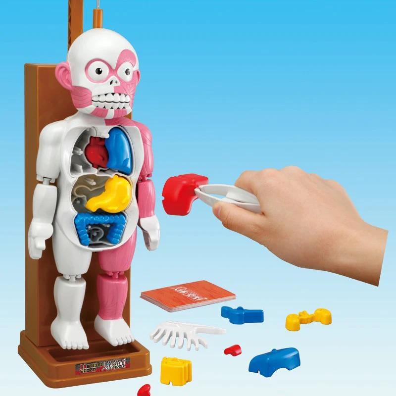 핼러윈 까다로운 농담 장난감, 참신 해골 시뮬레이션 인간 장기 3D 퍼즐 조립 무서운 인체 모델 완구