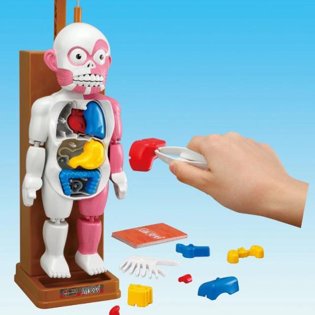 핼러윈 까다로운 농담 장난감, 참신 해골 시뮬레이션 인간 장기 3D 퍼즐 조립 무서운 인체 모델 완구