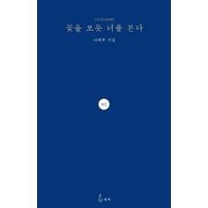 꽃을 보듯 너를 본다:나태주 시집