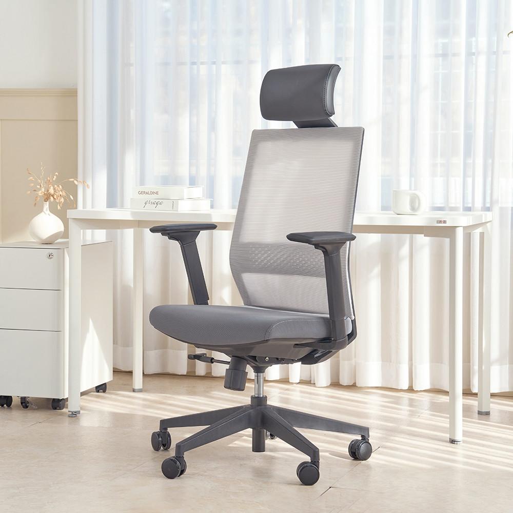 올즈 코이 다기능 커스토마이징 가능한 맞춤형 사무용 학생 책상 컴퓨터의자