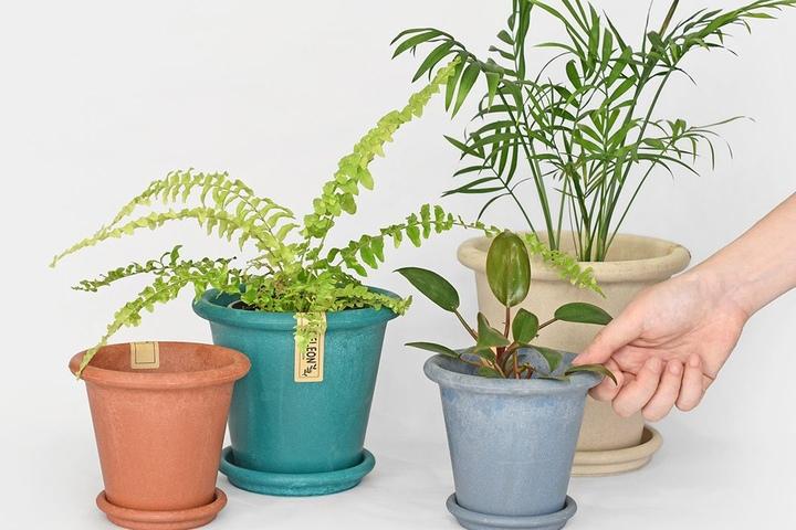 에코팟 인테리어 컬러 화분 받침 세트 4sizes